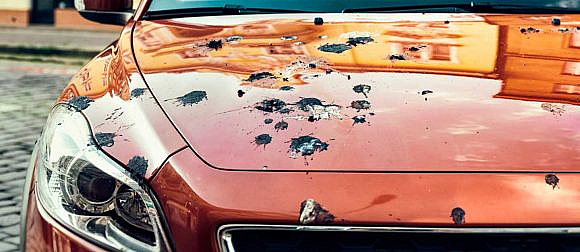 Causes of Car Paint Damage & Prevention | dubizzle