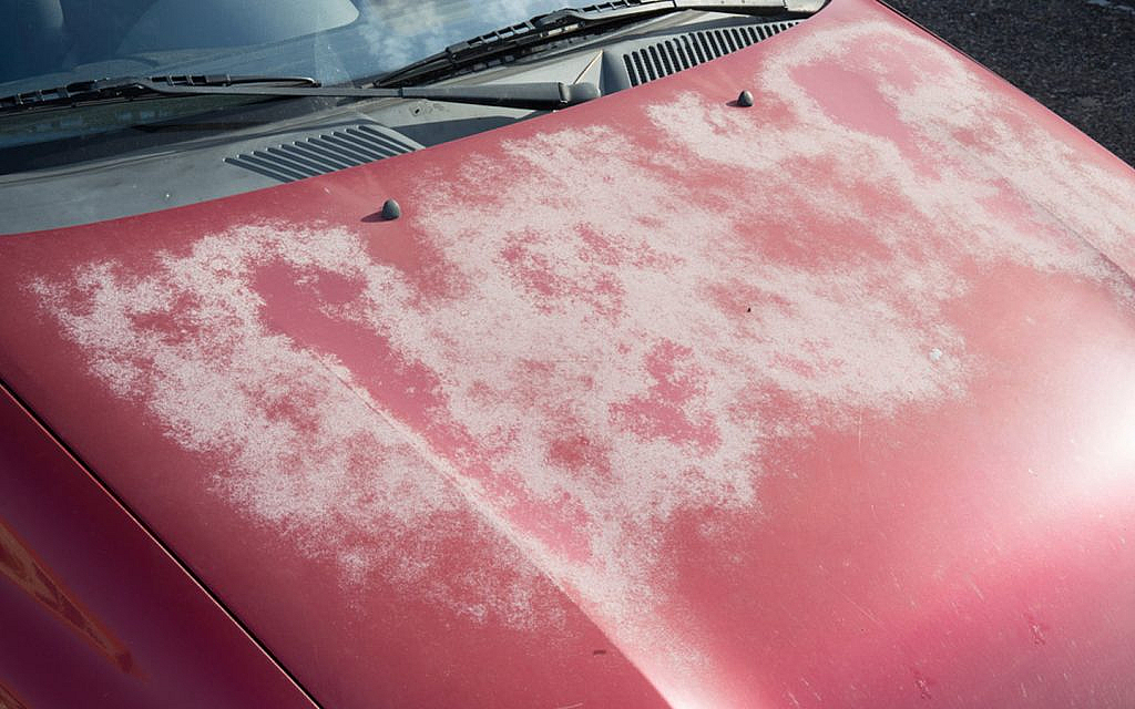 Sun damage to car paint