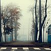 Poor visibility on a Dubai road due to the heavy fog