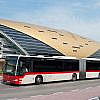 Guide to RTA buses in Dubai