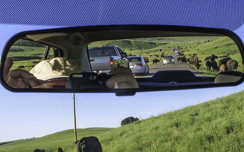 Checking the road on the rear mirror of a car
