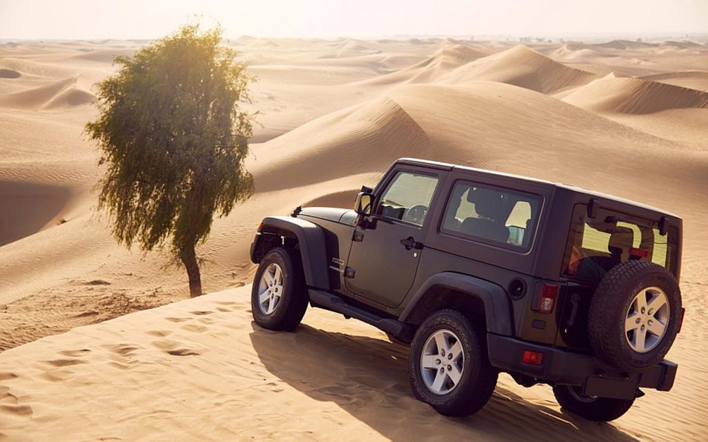 جيب في الصحراء