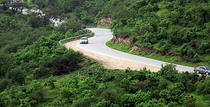 A road between lush green landscapes in a resort in Salalah, Oman