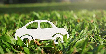 environmental factors that cause car damage
