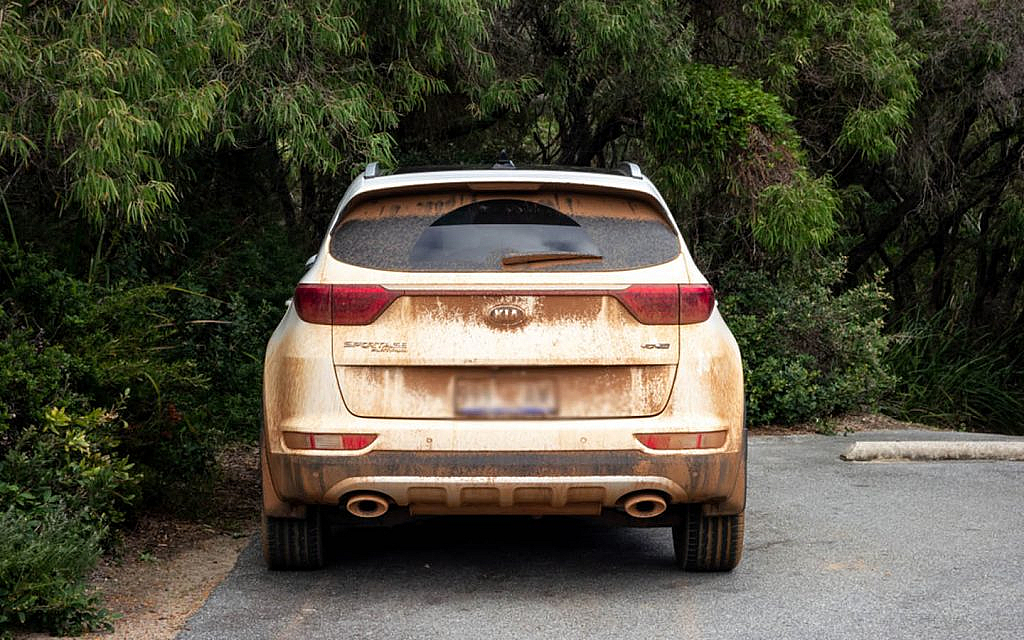 car covered with dust