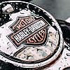harley davidson facts