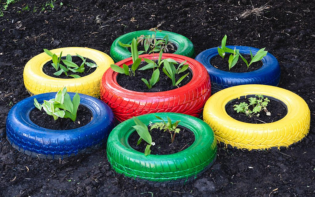 Sharjah Auto Parts Park A Green Initiative