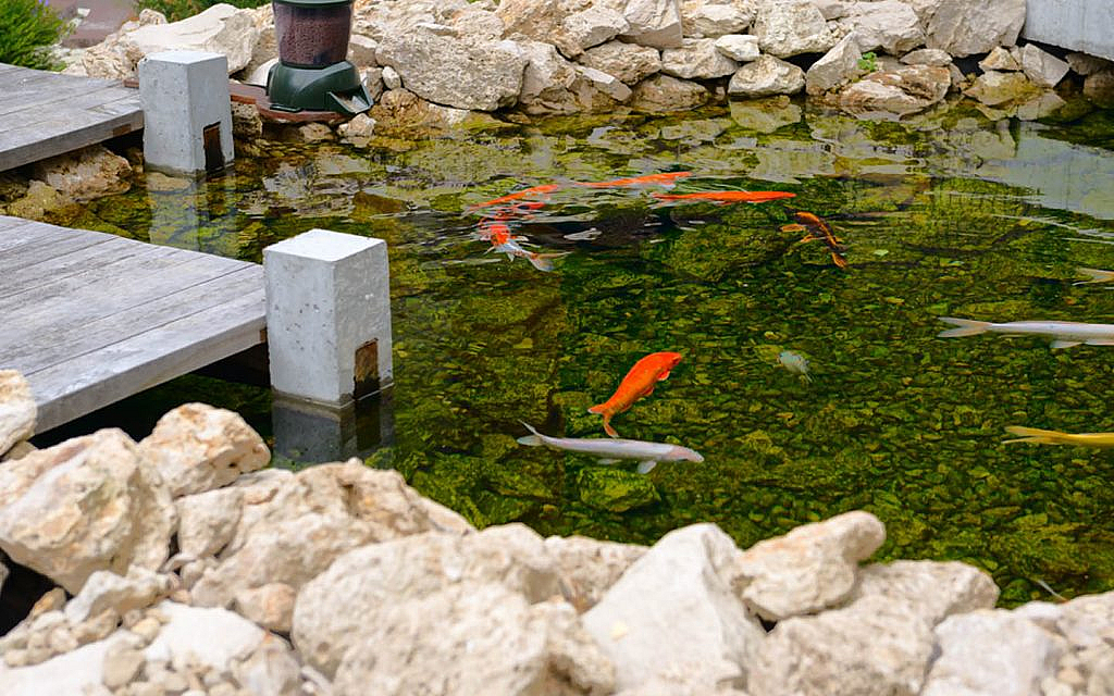 Sharjah Auto Parts Park A Green Initiative