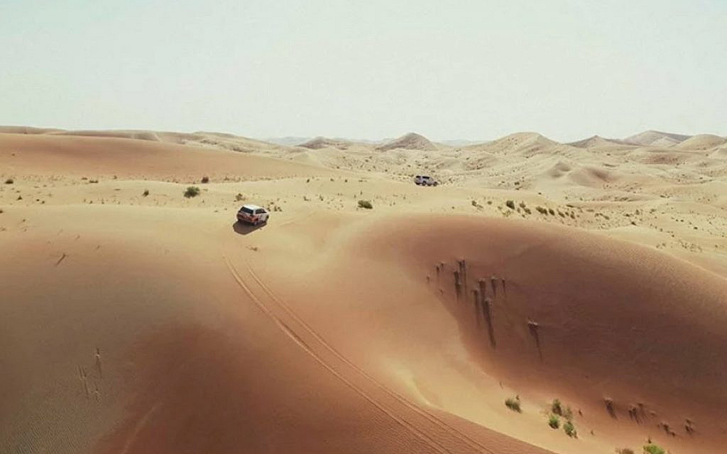 Tricky terrains of Hameem loop