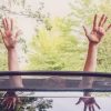 All About Sunroof