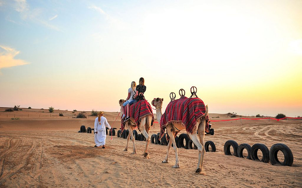 Dune Bashing in Dubai Tips, Tour Operators & Packages