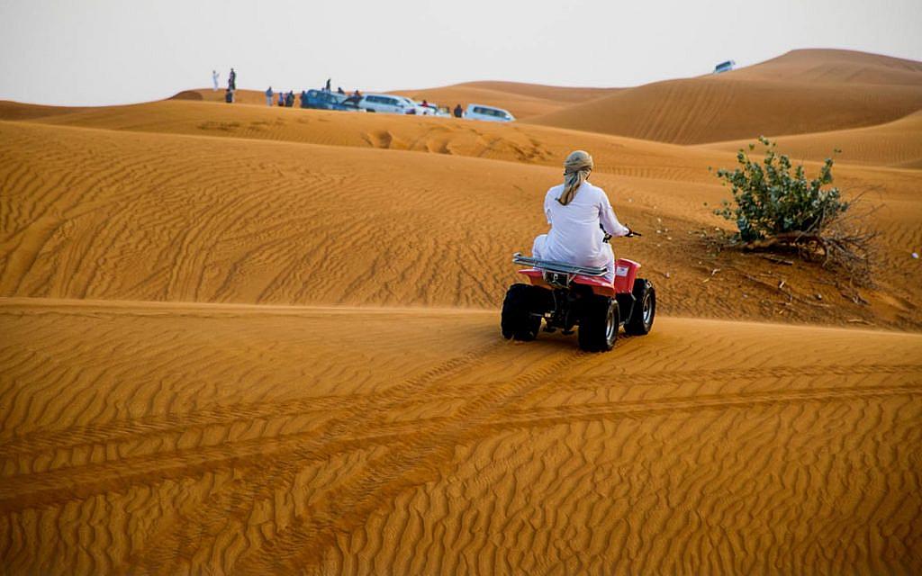 Several companies offer desert safari in Abu Dhabi