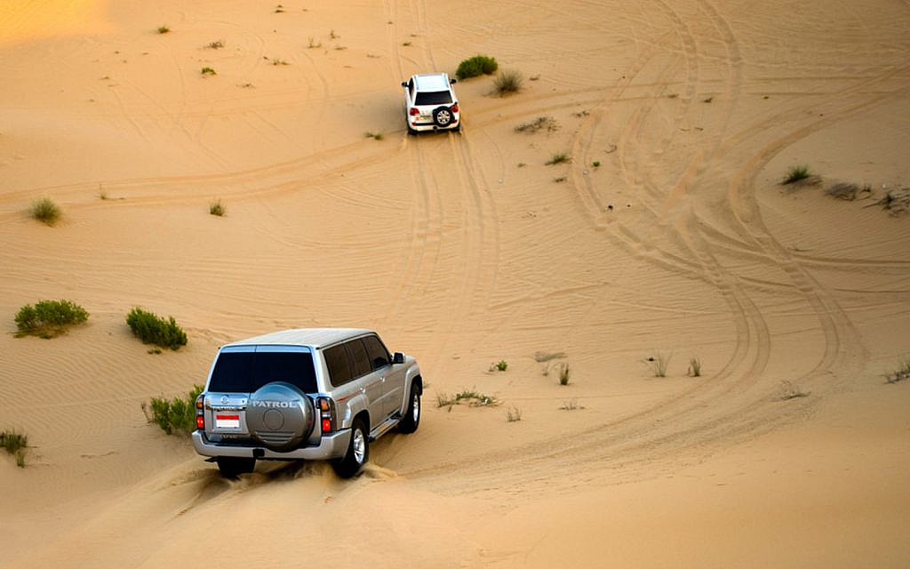 Enjoy the adventurous safari experience with My Arabian Gate Tour and Safari