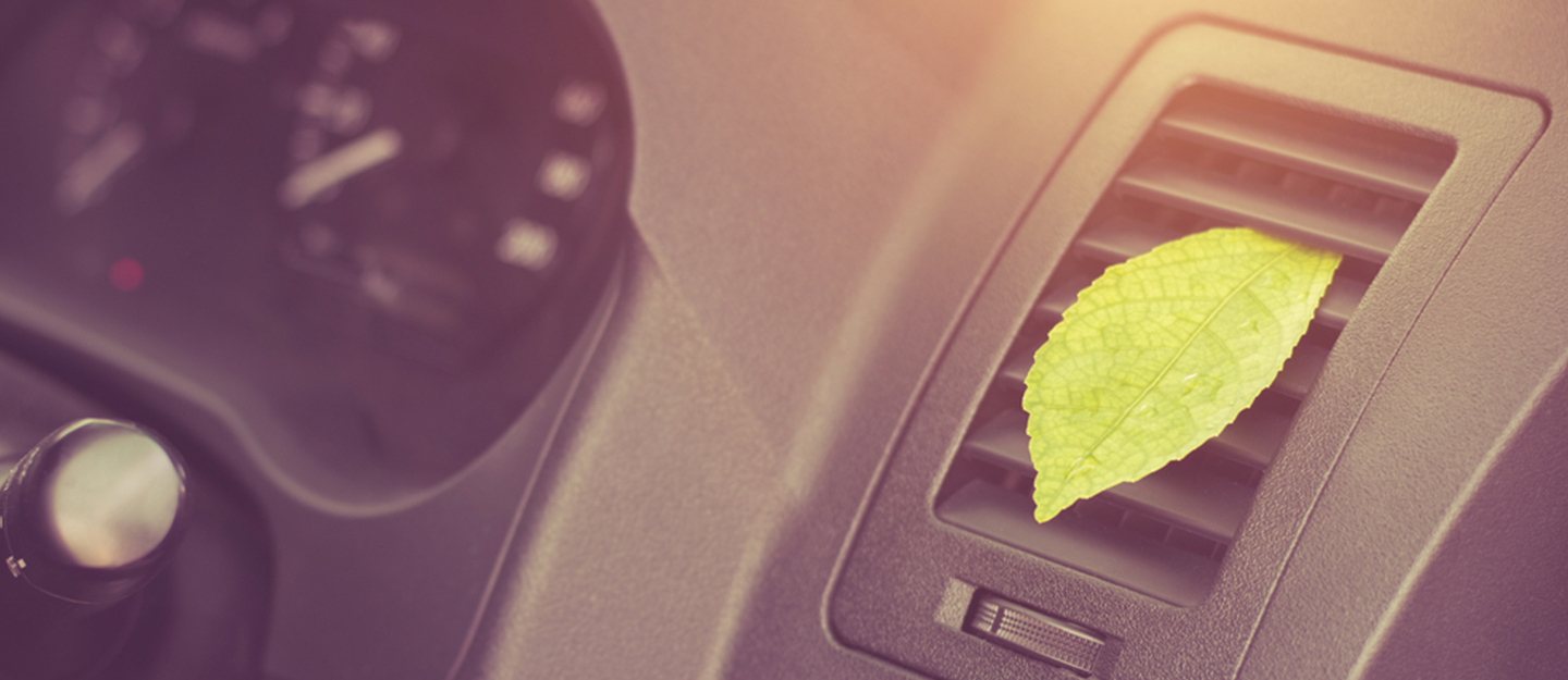 How to Make Your Car Smell Fresh Coffee Beans, Cleaning & More