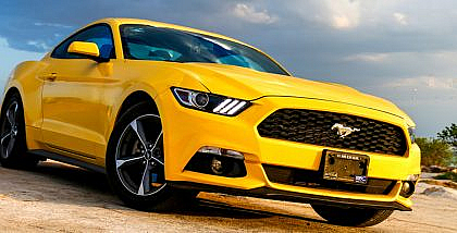 موستنج صفراء