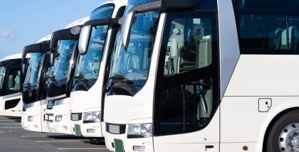 white buses in a row