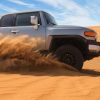 desert safari