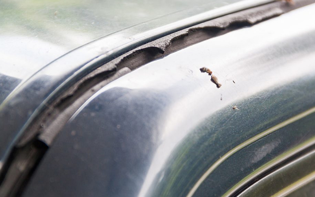 car weatherstripping damage