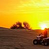 atv vs dune buggy
