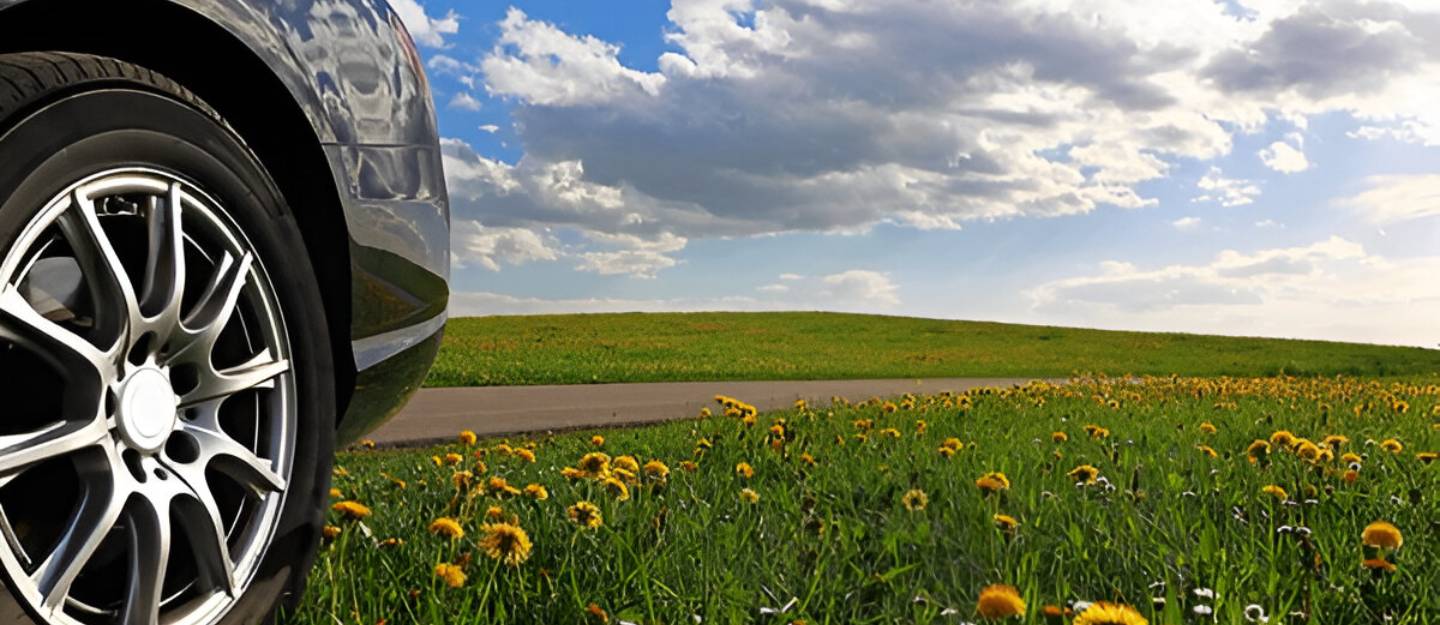 plastic-free travel tips