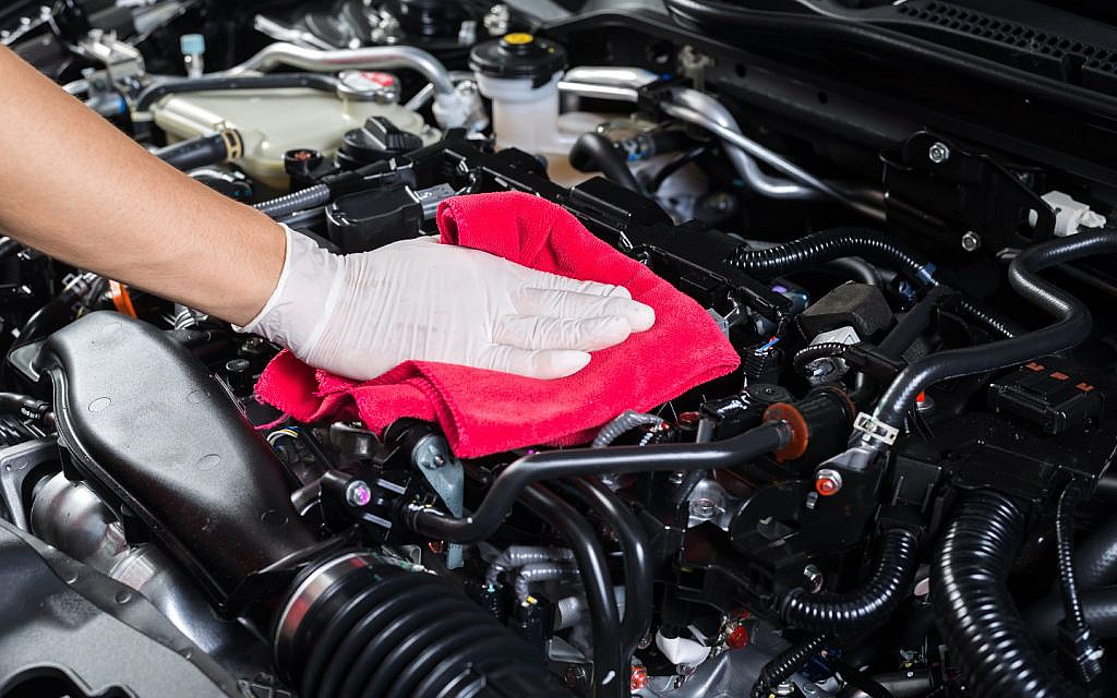 Check your car often to catch rodent problems early.