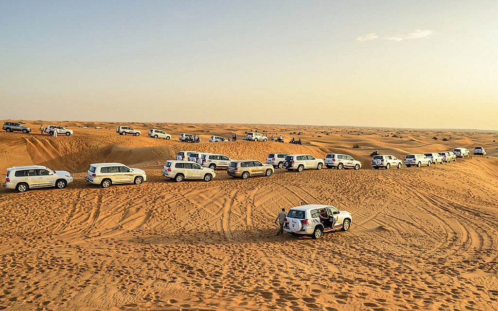 محمية دبي الصحراوية