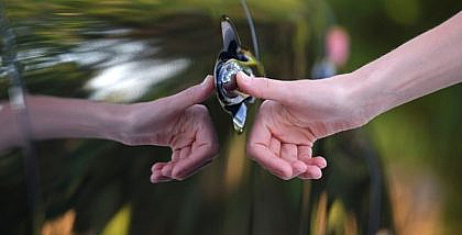 biometrics in connected cars