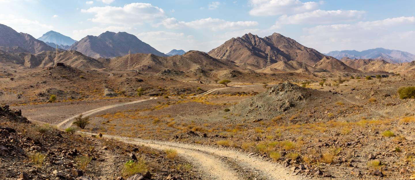 مسار وعر