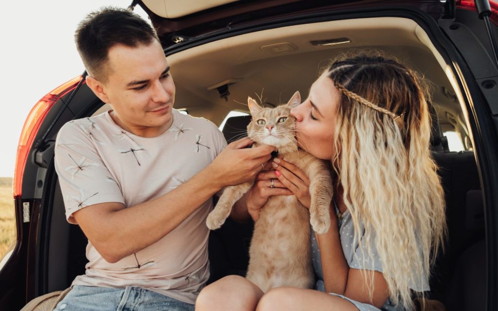 effective ways to get pet odour out of your car