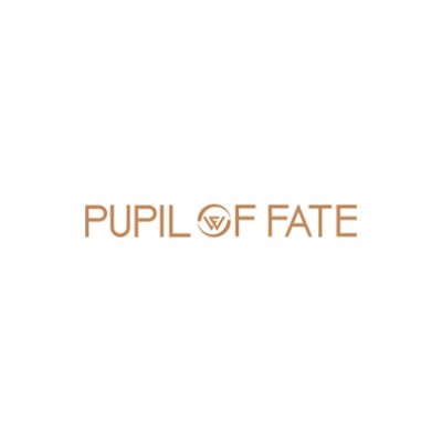 THE PUPIL OF FATE CAR RENTAL L.L.C