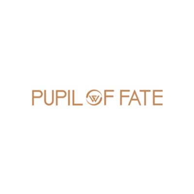 THE PUPIL OF FATE MOTORS L.L.C