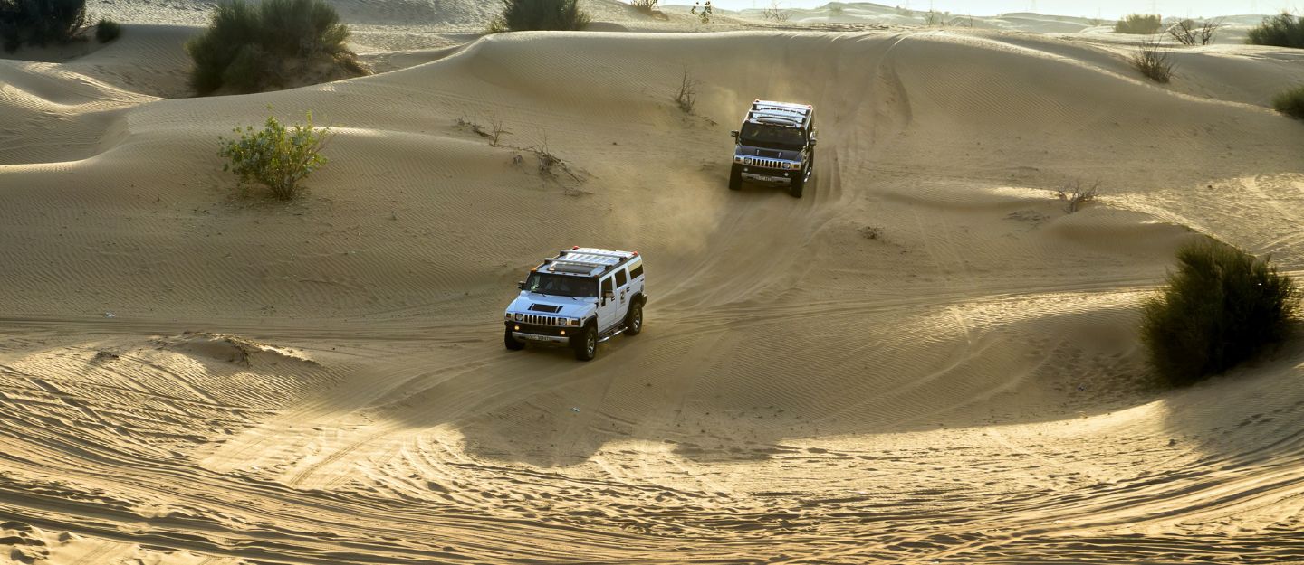 two cars in a rally race