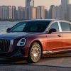 First Look: Hongqi Golden Sunflower GUOYA