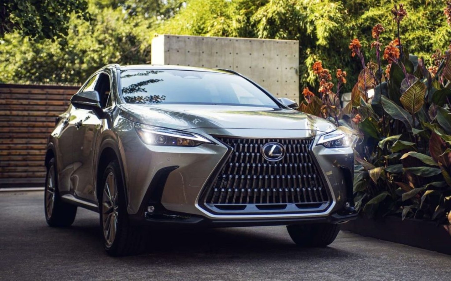 NX350 لكزس