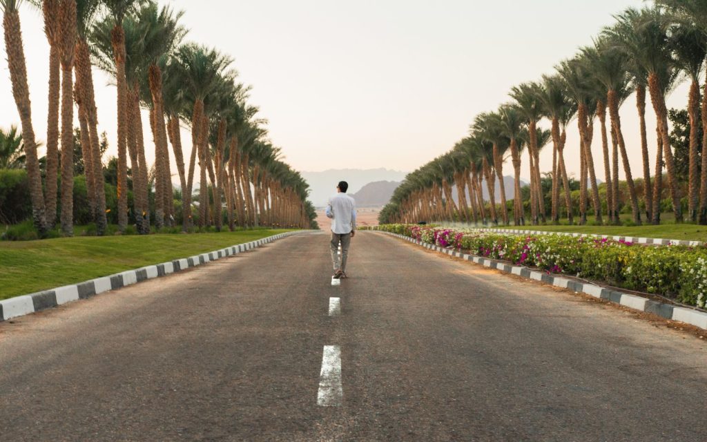 Wide road and transport infrastructure in the UAE